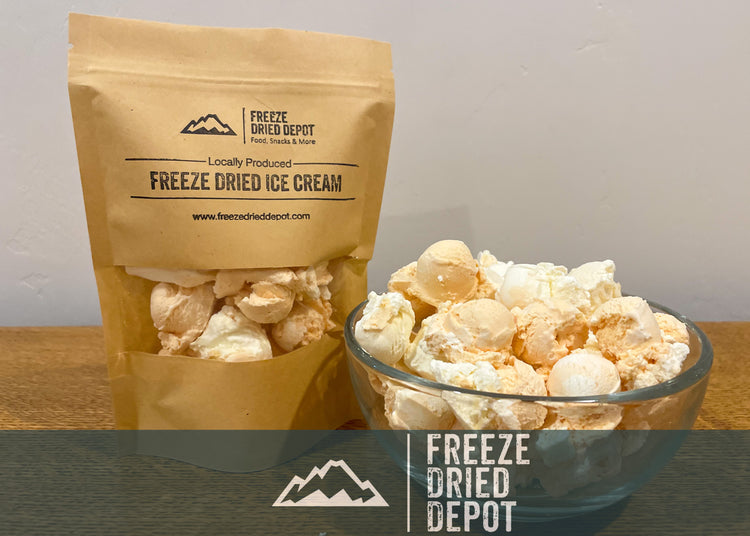 Freeze Dried Orange Vanilla Cream Ice Cream