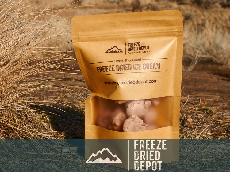Freeze Dried Chocolate Peanut Butter Ice Cream