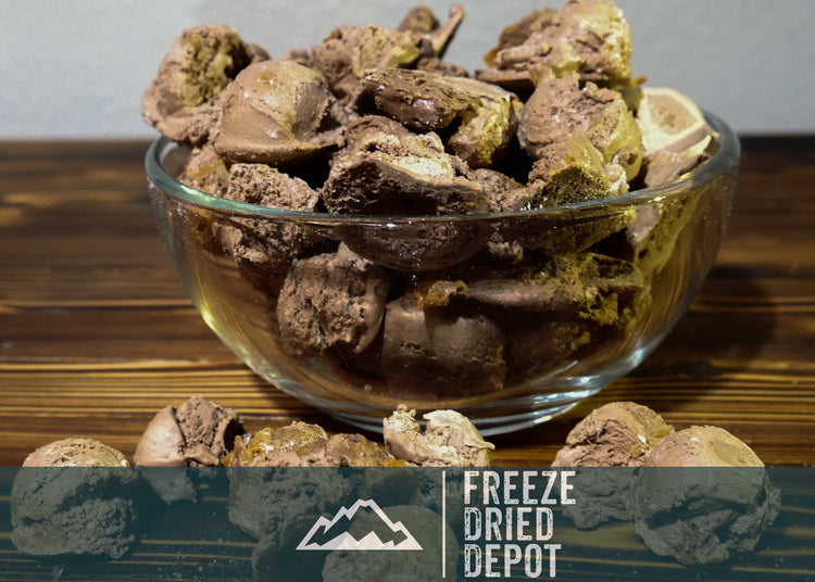 Freeze Dried Chocolate Peanut Butter Ice Cream