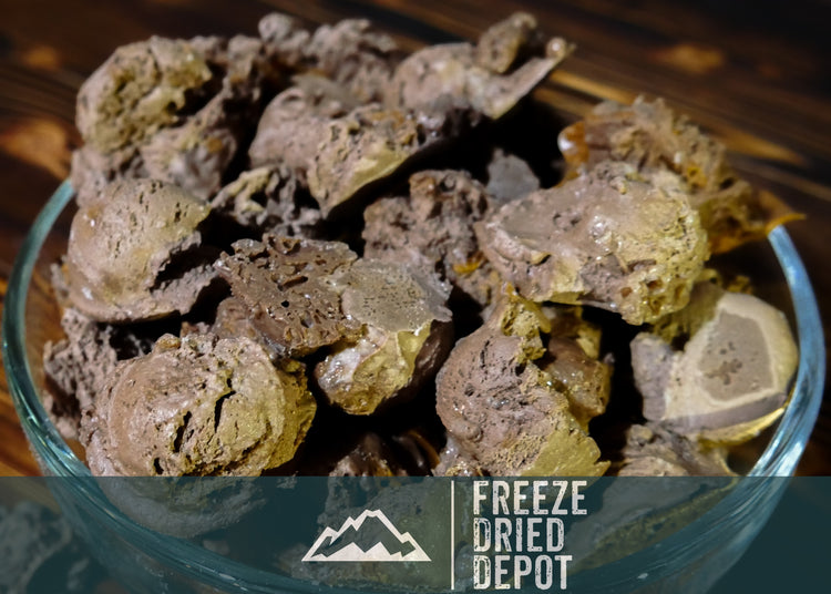 Freeze Dried Chocolate Peanut Butter Ice Cream