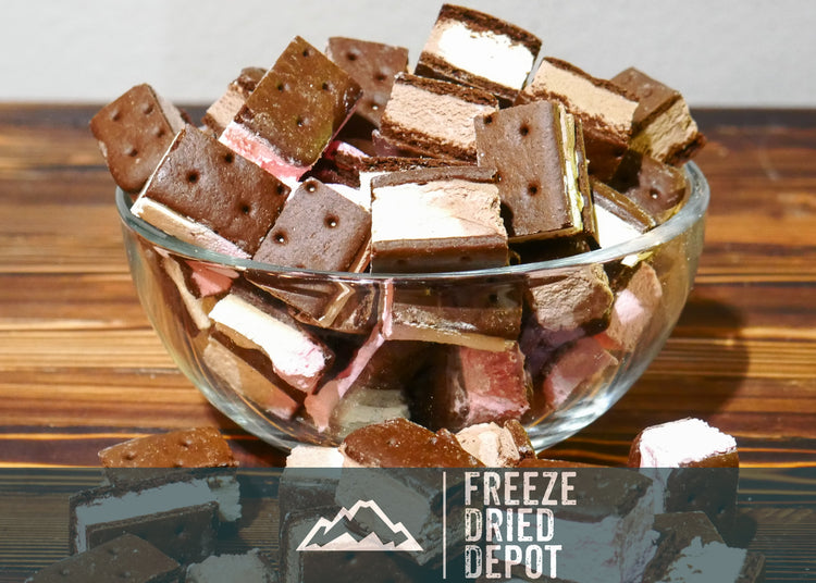 Freeze Dried Ice Cream Sandwich Bites