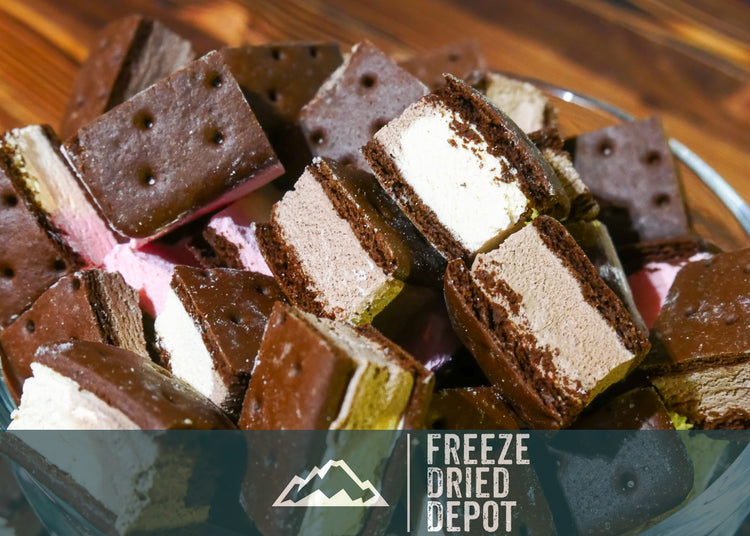 Freeze Dried Ice Cream Sandwich Bites